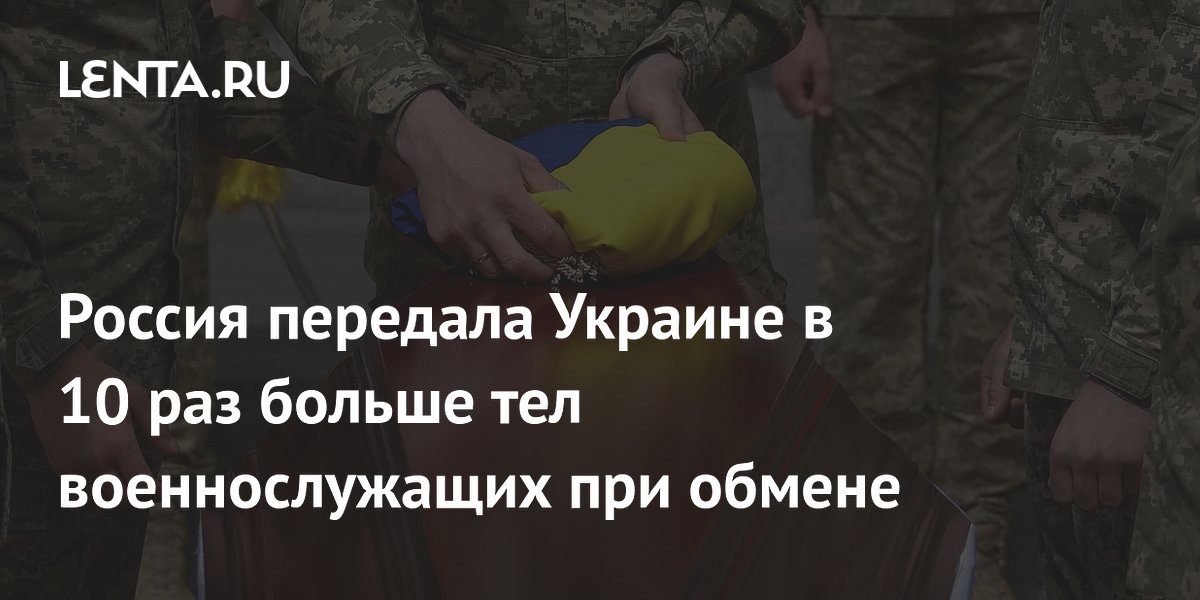 Russia transferred 10 times more bodies of military personnel to Ukraine during the exchange: Society: Russia: Lenta.ru