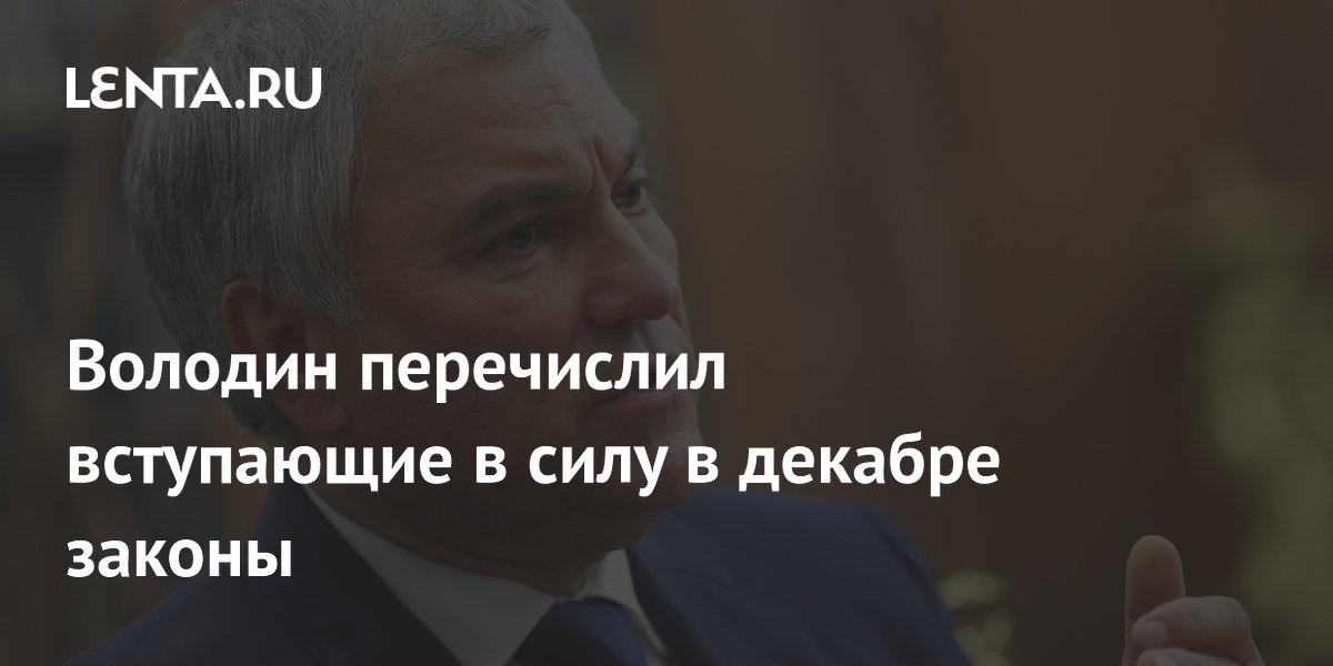 Volodin listed the laws coming into force in December: Politics: Russia: Lenta.ru