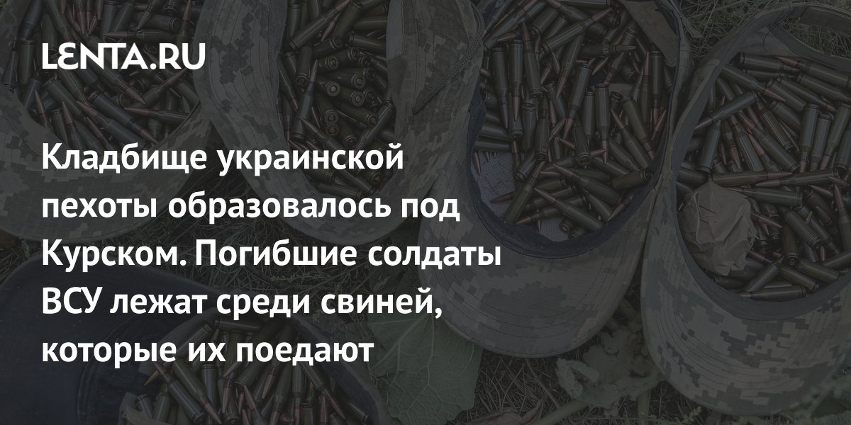 total losses, video of Ukrainian infantry cemeteries, latest data: Politics: Russia: Lenta.ru