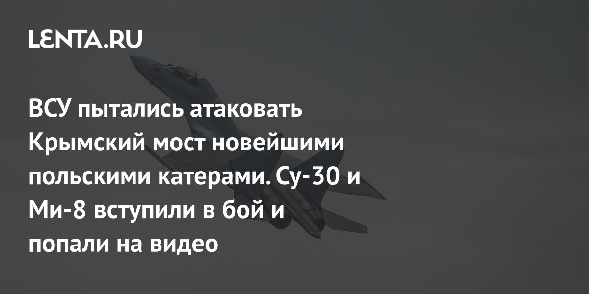 battle of Su-30 and Mi-8 with Ukrainian BEC, details, video: Ukraine: Former USSR: Lenta.ru