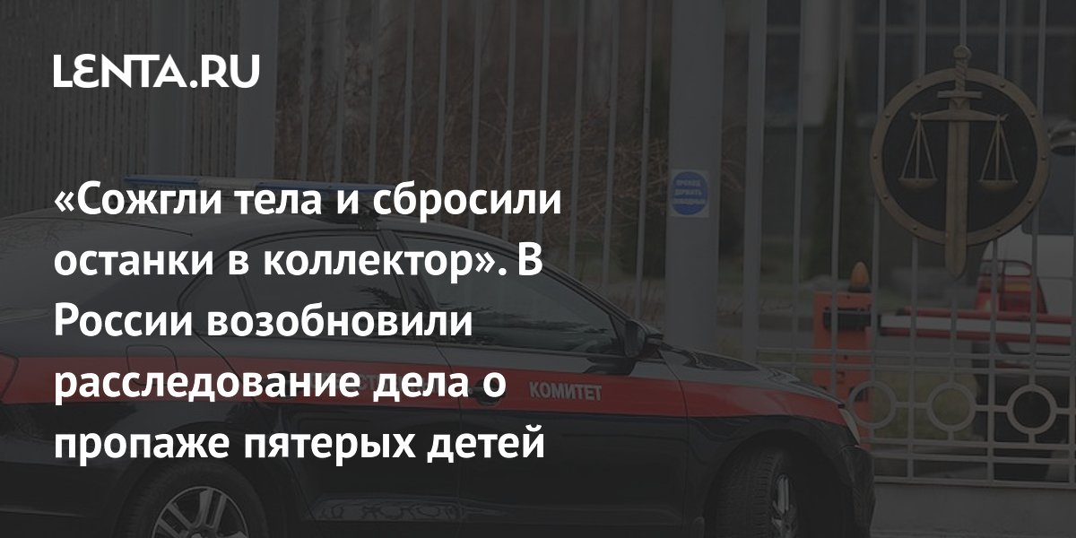 missing boys, search, resumption of investigation: Crime: Law enforcement agencies: Lenta.ru