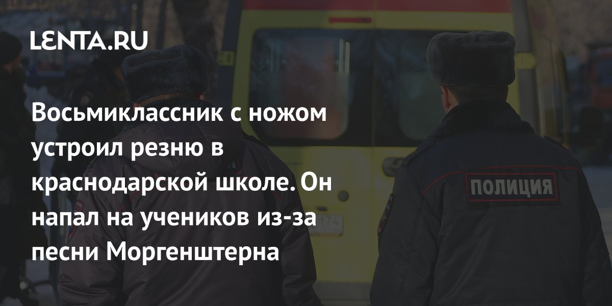 reasons, how many victims: Crime: Law enforcement agencies: Lenta.ru